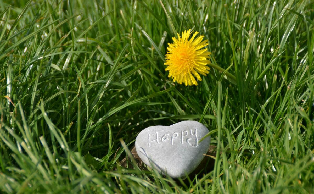 Grey happy stone on the grass.