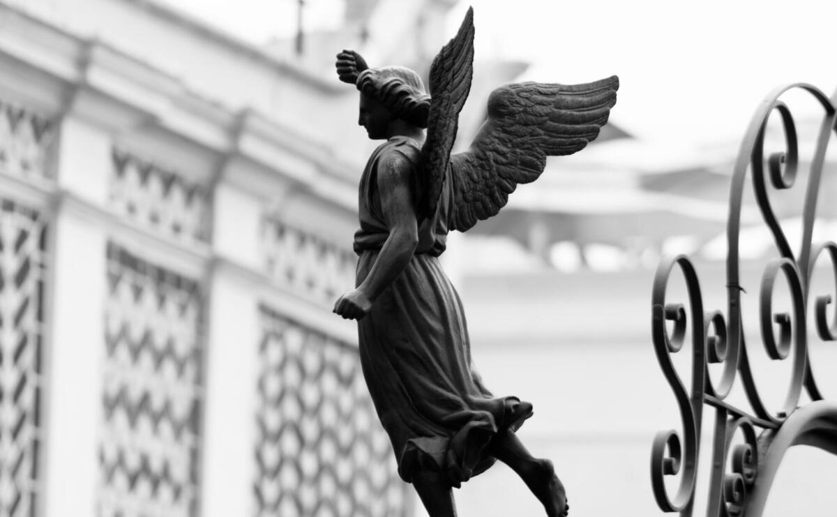 Monochrome shot of an angel statue with detailed wings against architecture.