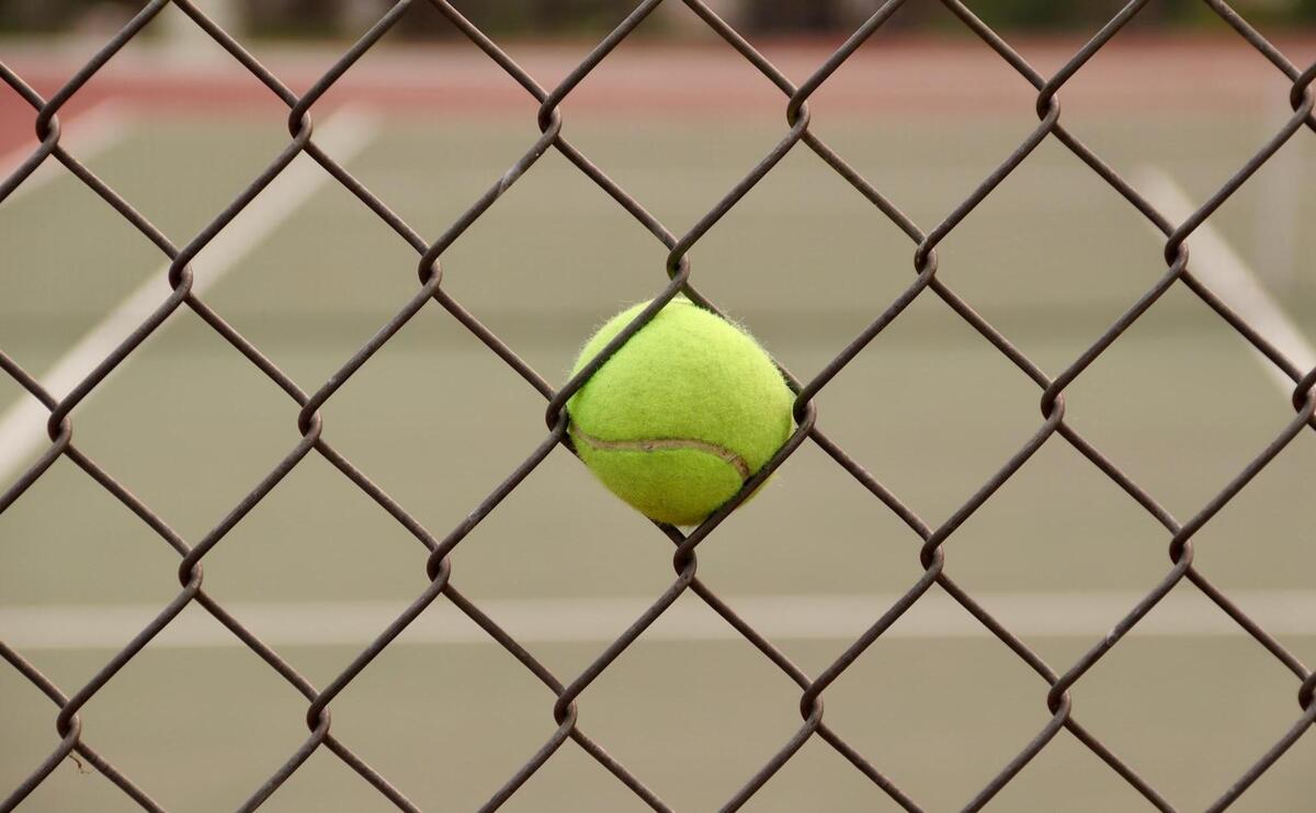 Tennis ball stuck in the net.