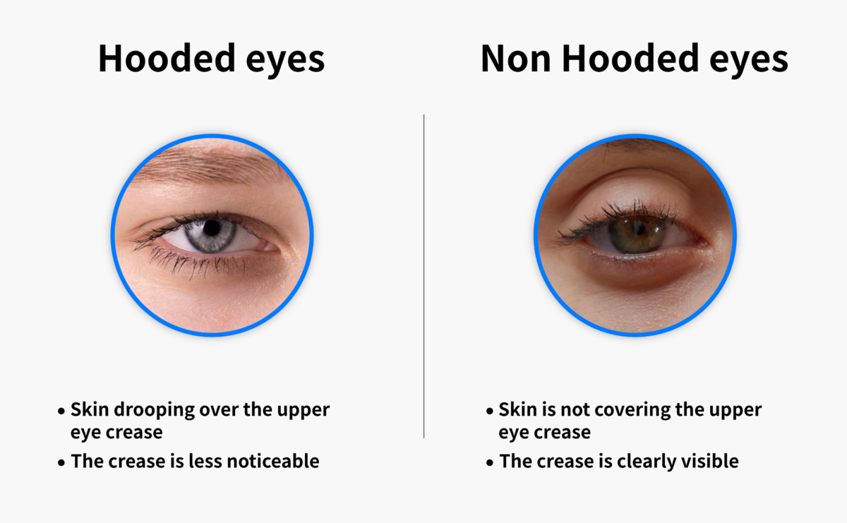 Illustrating the difference between hooded and non hooded eyes.