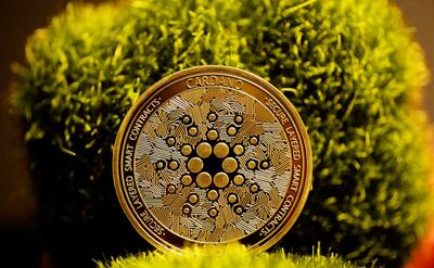 A single Cardano coin stands in front of the plants.