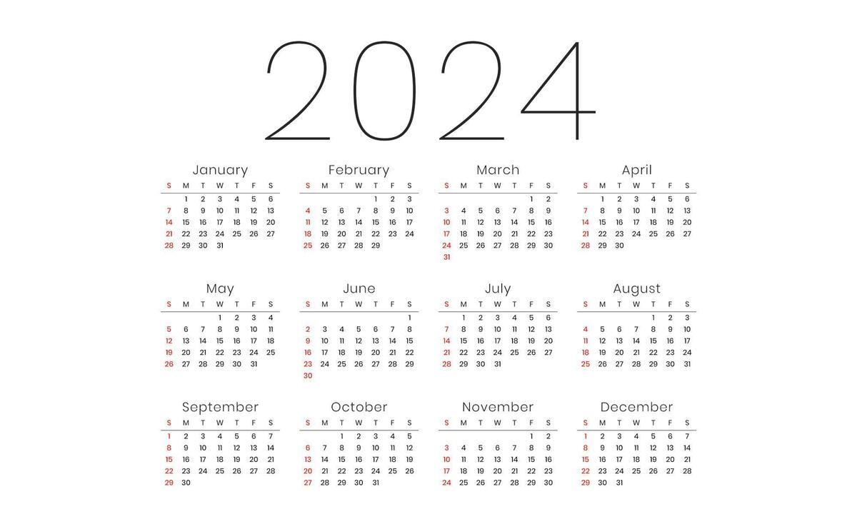 Modern 2024 new year calendar template organize daily event vector
